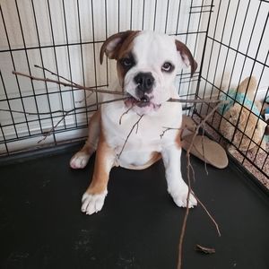 Meet your Posher, Wendy